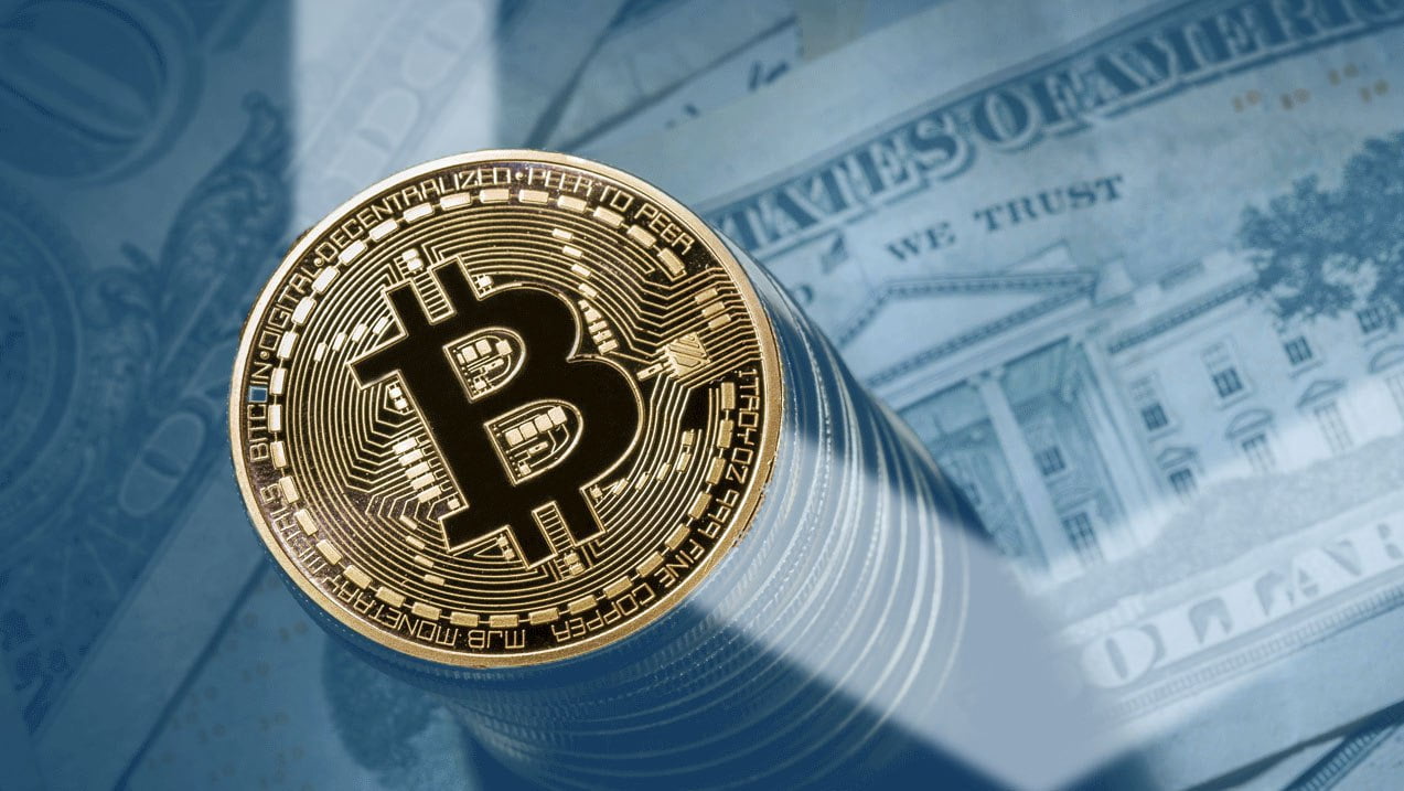 investasi bitcoin mėgstamiausi dienos prekybos kriptovaliutų rodikliai