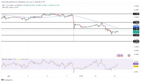  xrp brief recovery price rebounded pressure downward 