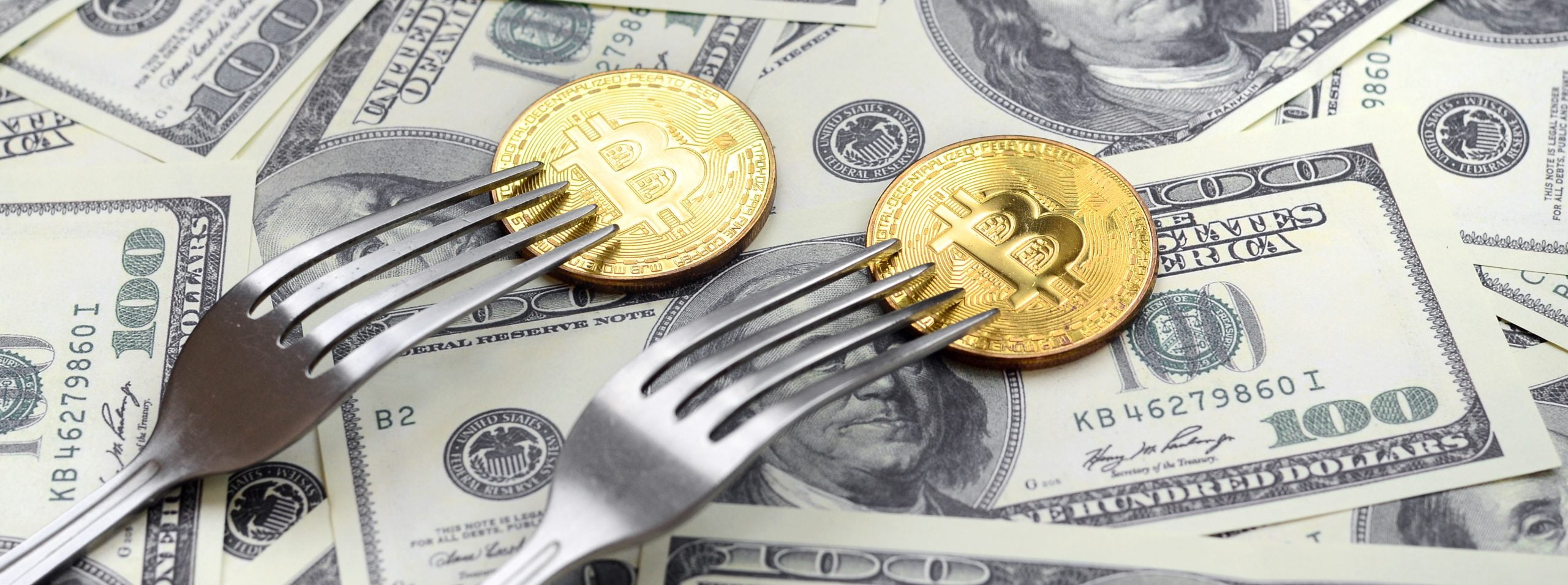 Kim Dotcom Claims This Fork Is More Undervalued Than Bitcoin, Here’s Why