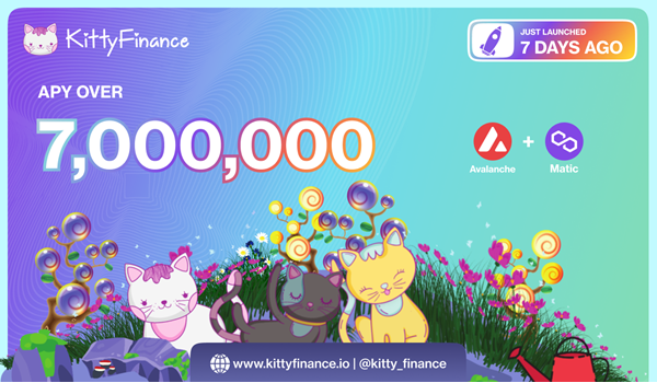 Kitty Finance