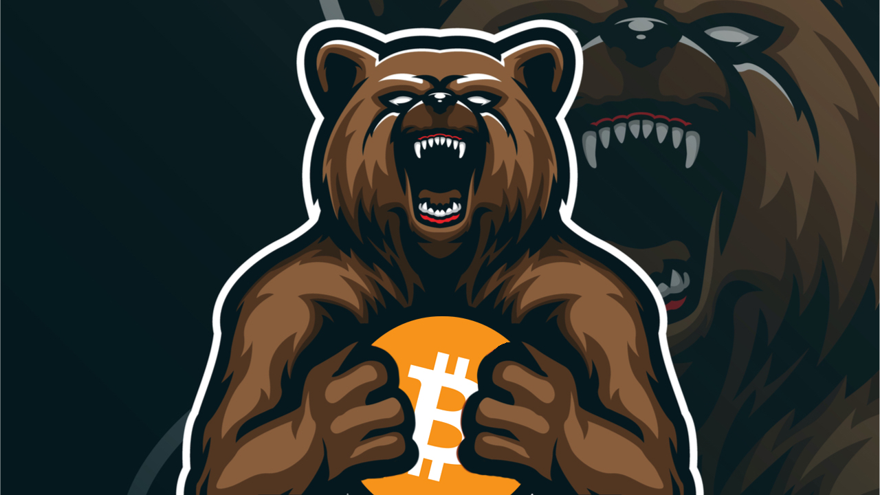Bear holding bitcoin