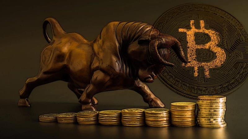 Bitcoin bull