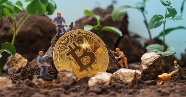 bitcoin public miners