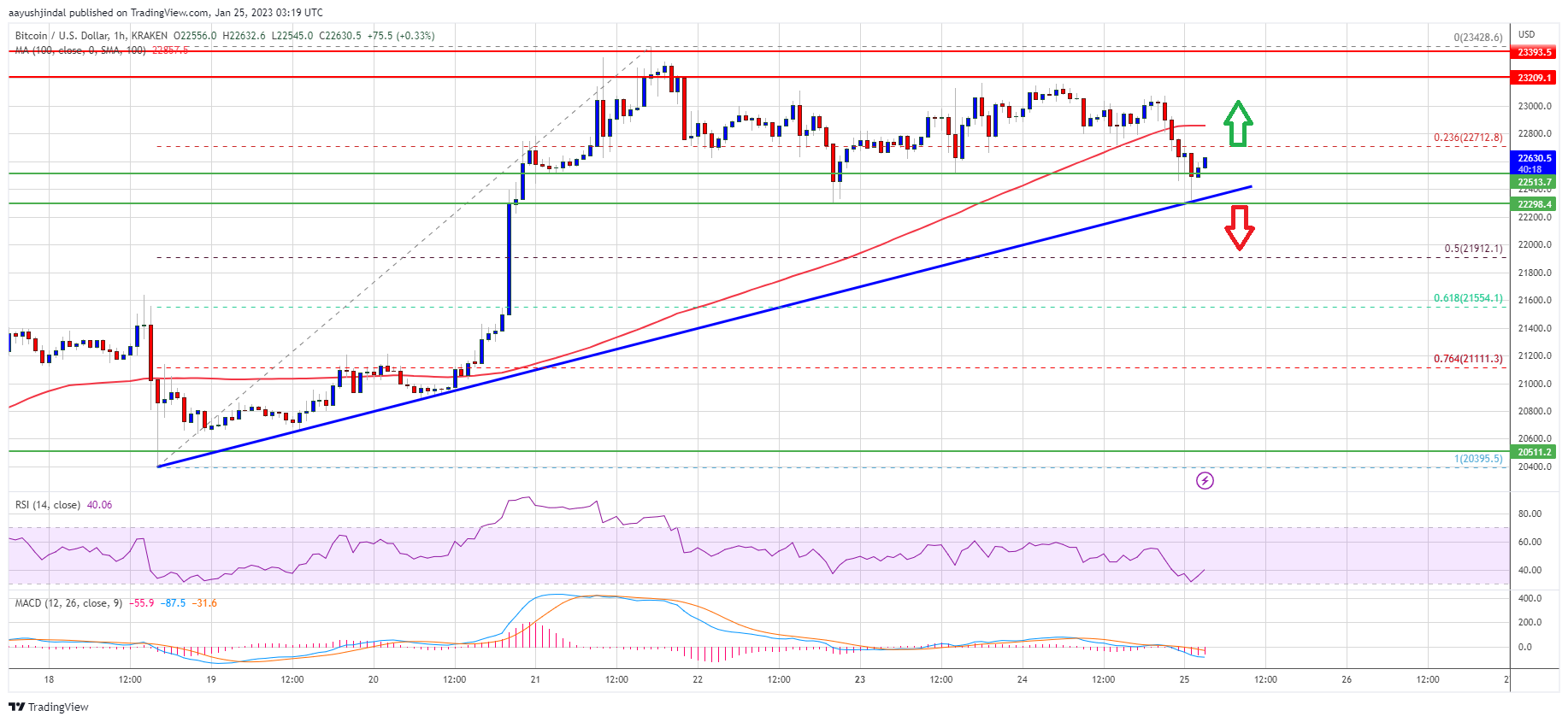 Bitcoin Price Just Saw Technical Correction But Key Uptrend Support Intact