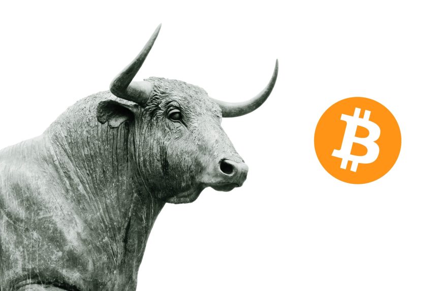 Bitcoin Bull Run