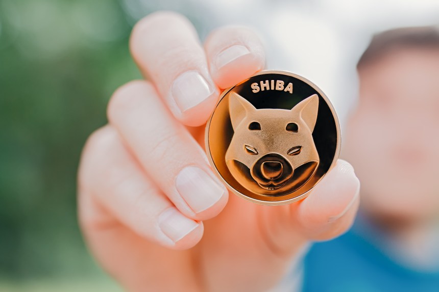 Man holding Shiba token on natural background