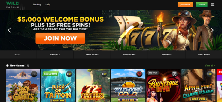 Wild Casino Welcome Bonus plus 125 Free Spins