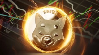 Shiba Inu SHIB burn Small