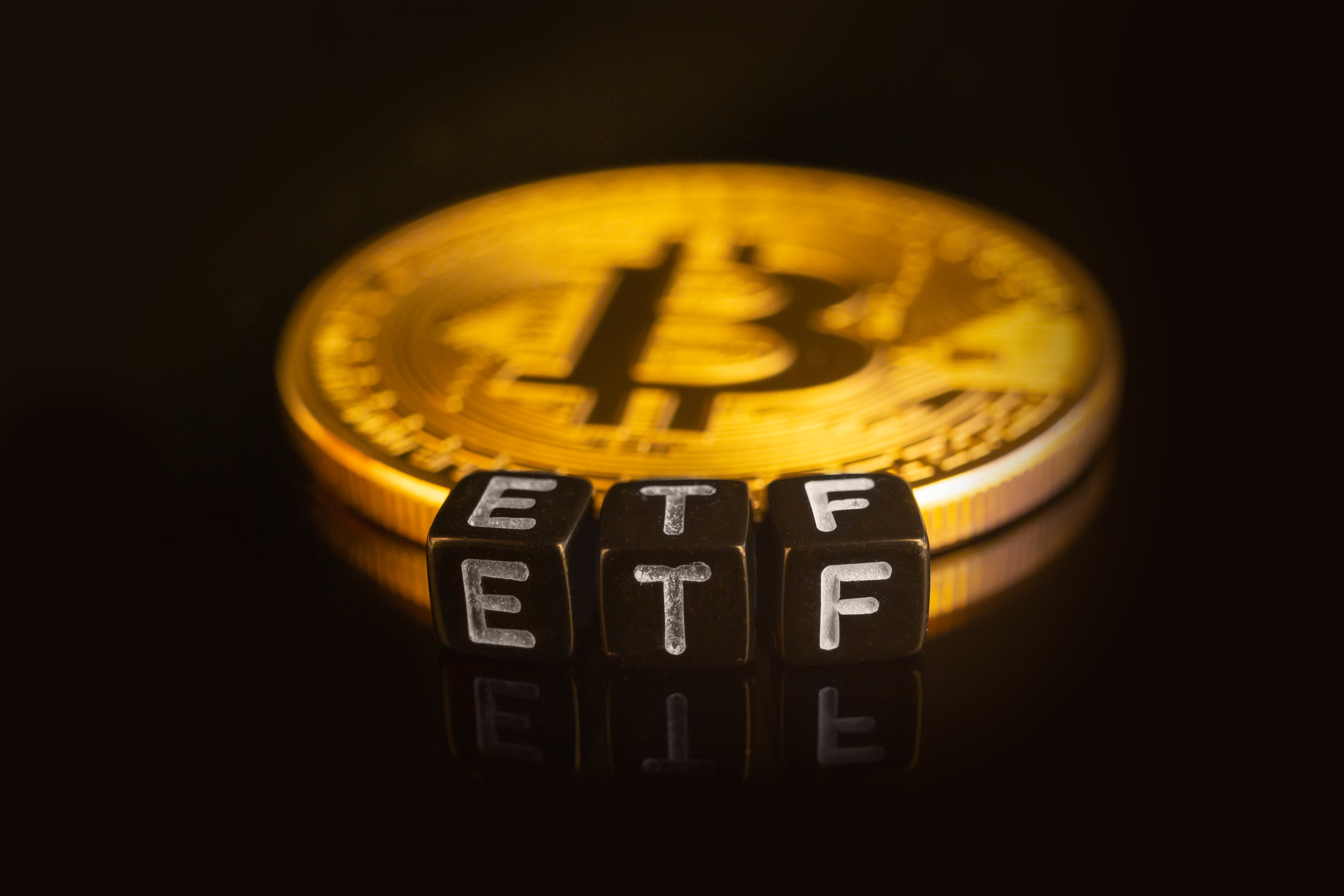 Что такое спотовый биткоин etf. Первый спотовый биткоин-ETF. ETF Coin. Знак биткоина картинки. Bitcoin Carbon Neutral.