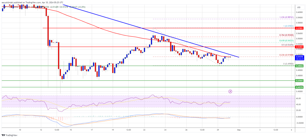 Прогноз цен XRP – подтолкнет ли медвежий тренд цены ниже $0,50?