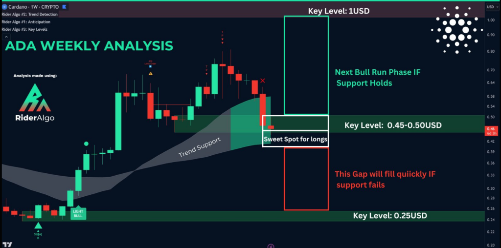 Cardano’s Dark Hour: Panic Grips Investors As ADA Loses 22% Of Its Value