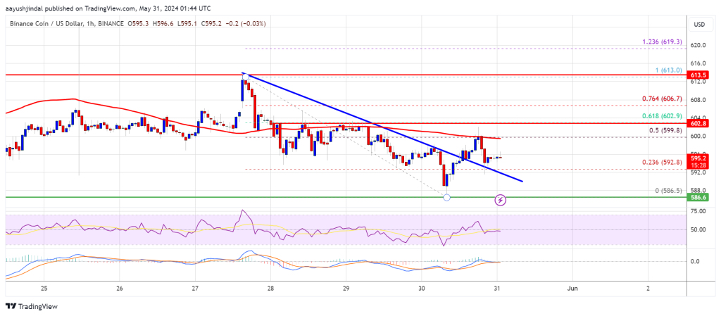 BNB Price Launches Recovery Bid: Will the Bounce Hold?