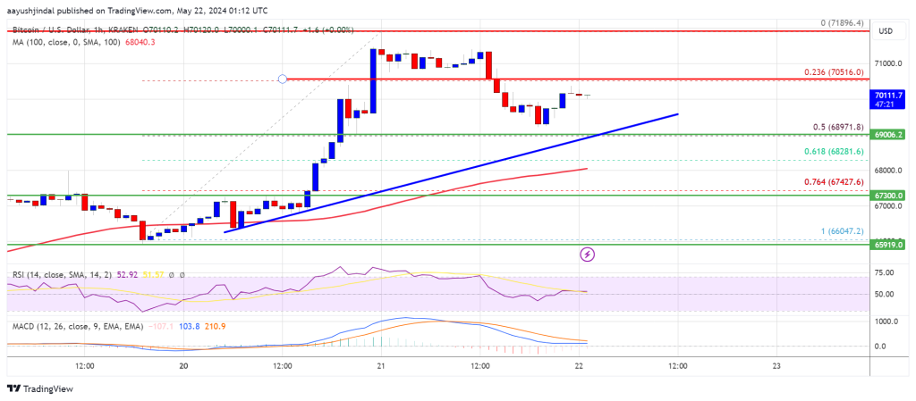 Bitcoin Dips but Holds Strong: Bullish Momentum Intact