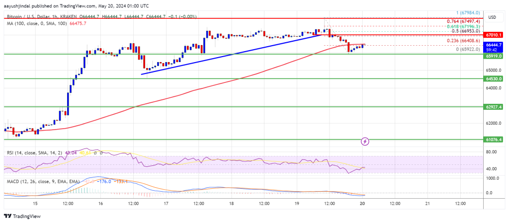 O preço do Bitcoin cai, mas permanece positivo: o sentimento do mercado permanece otimista