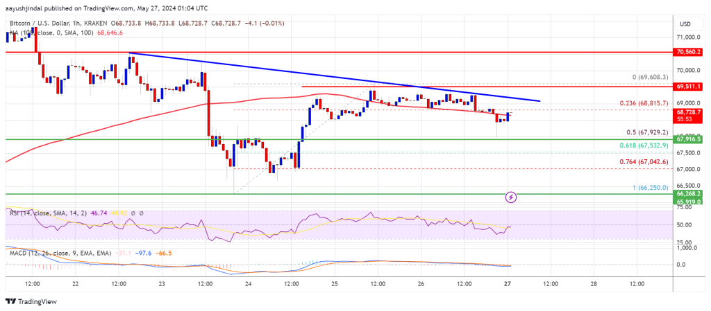 ビットコイン価格失速：取引躊躇の中で市場の勢いが鈍化