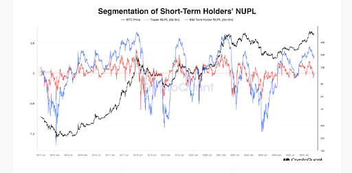 Краткосрочная стоимость биткойнов NUPL стала отрицательной, что это значит для цены