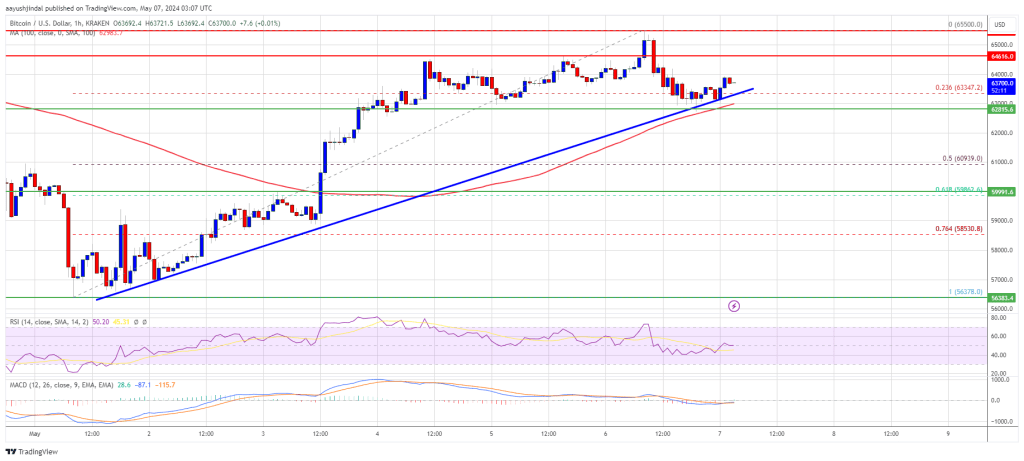 ビットコイン価格は上昇トレンド継続の兆しだが鍵は忍耐力