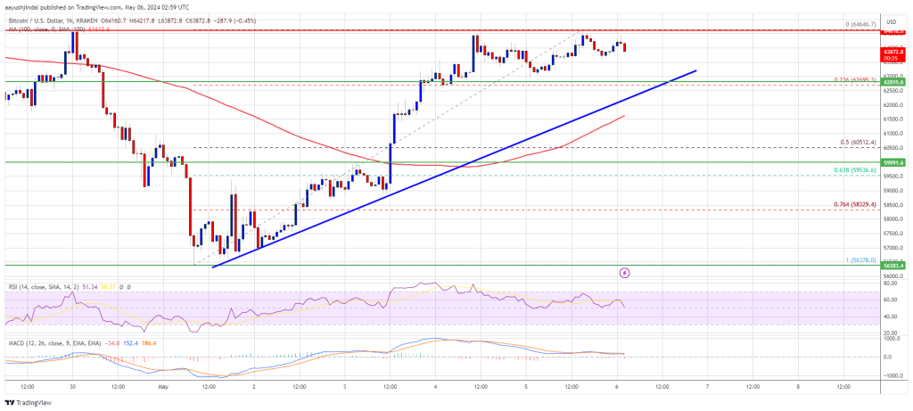 ビットコイン価格は主要な抵抗を拒否、BTCが再び下落する時期はあるのか？