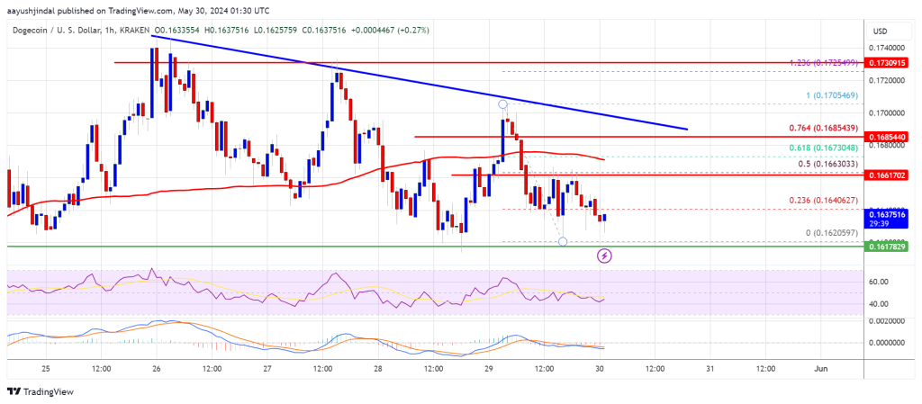 Dogecoin’s Rally Ride: DOGE Hang On Tight or Prepare to Bark!