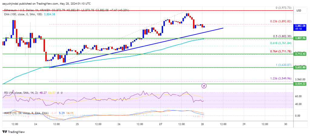 Ethereum Price Continues Its Climb: Bullish Momentum Drives Higher Gains