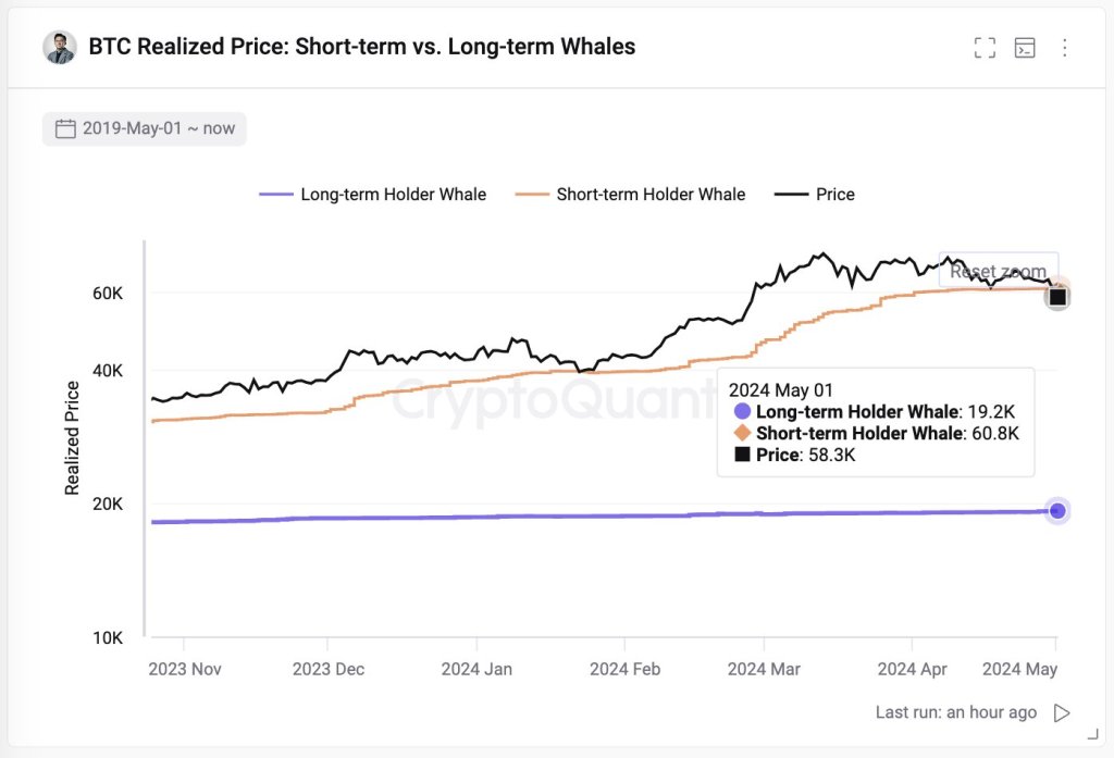 Bitcoin Slump Pushes New Whales Underwater: A Rare Opportunity To Buy?