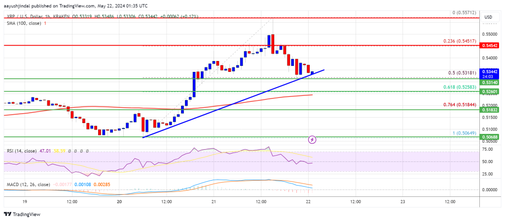 Удержится ли цена XRP на уровне 100 SMA и вызовет новый рост?