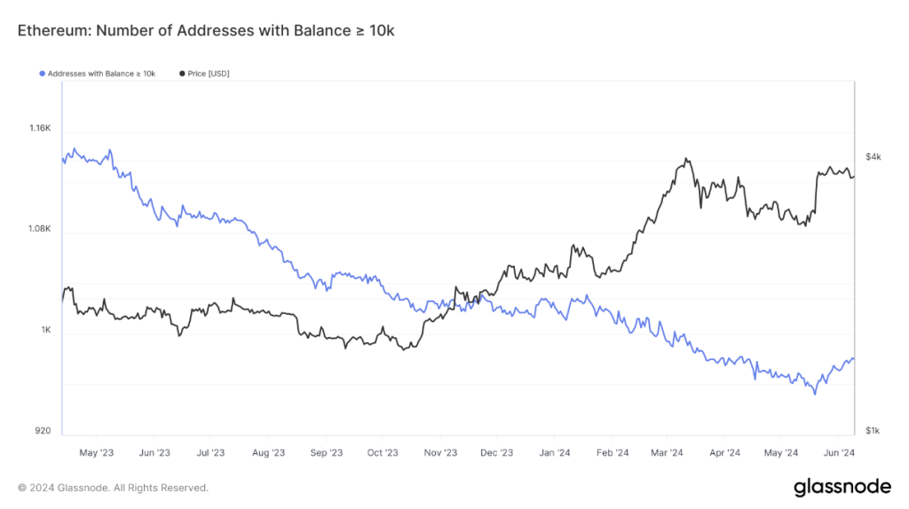 ¿Sangre en el agua? Las ballenas de Ethereum circulan a medida que cae el precio