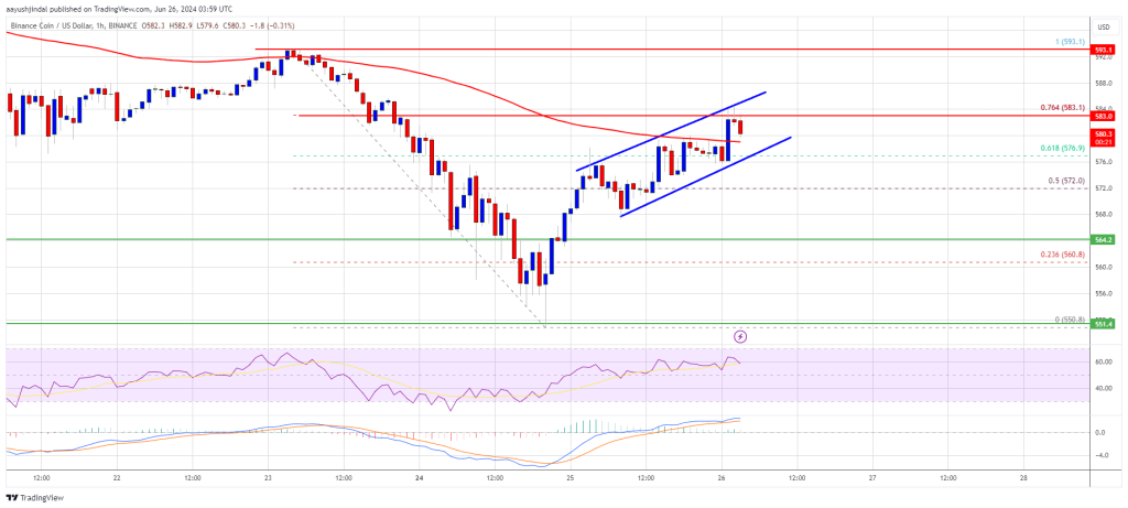 BNB Price Struggles as Bullish Momentum Wanes: Can It Overcome Hurdles?