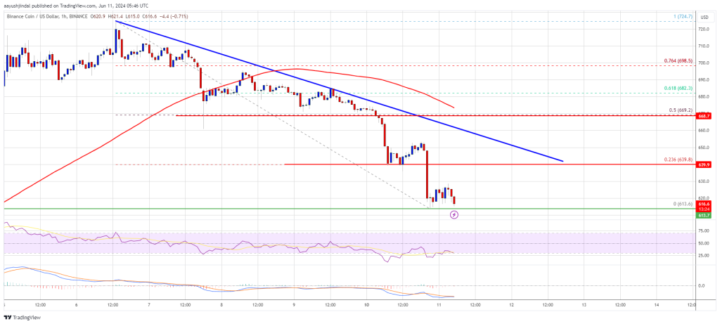 BNB Price Retraces: Altcoin Giant Trims Recent Gains, Can It Recover?