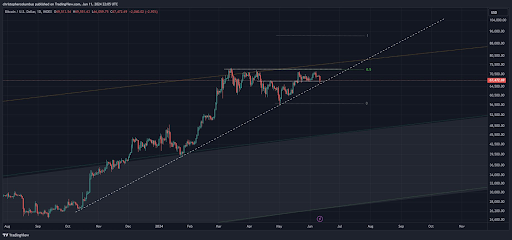 Famous Analyst Dave The Wave Says Bitcoin Still Has Wiggle Room, Sets $300,000 Target