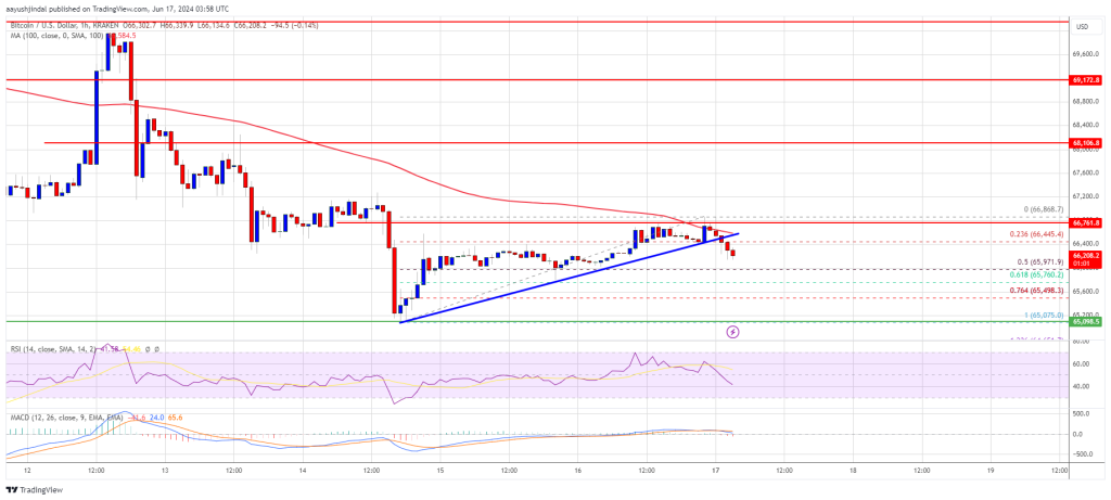 ビットコイン価格の下落は続く：下方目標も視野に