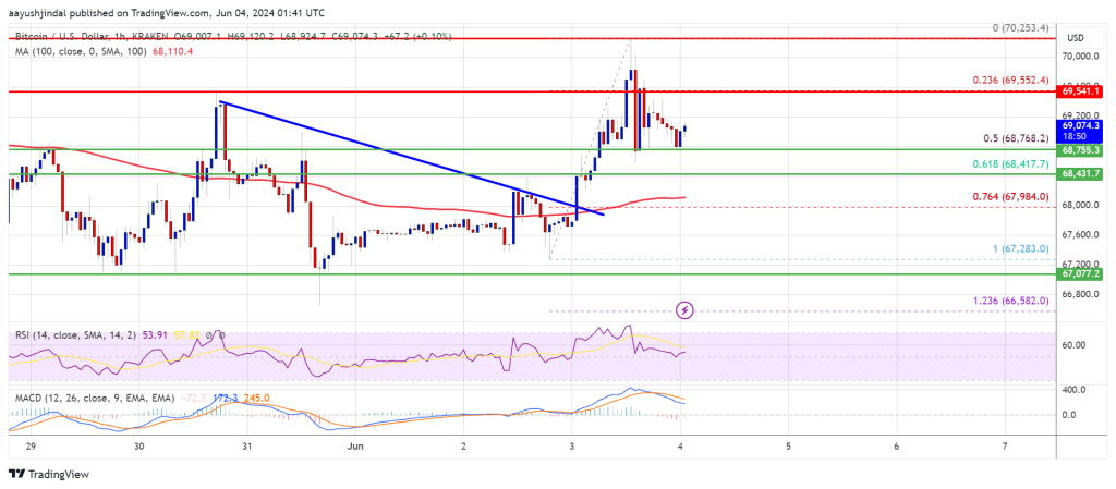 ビットコイン価格の勢いが増す：強気の急騰が起こる？