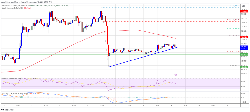 Bitcoin Price Resurgence: Ready for Another Upswing?
