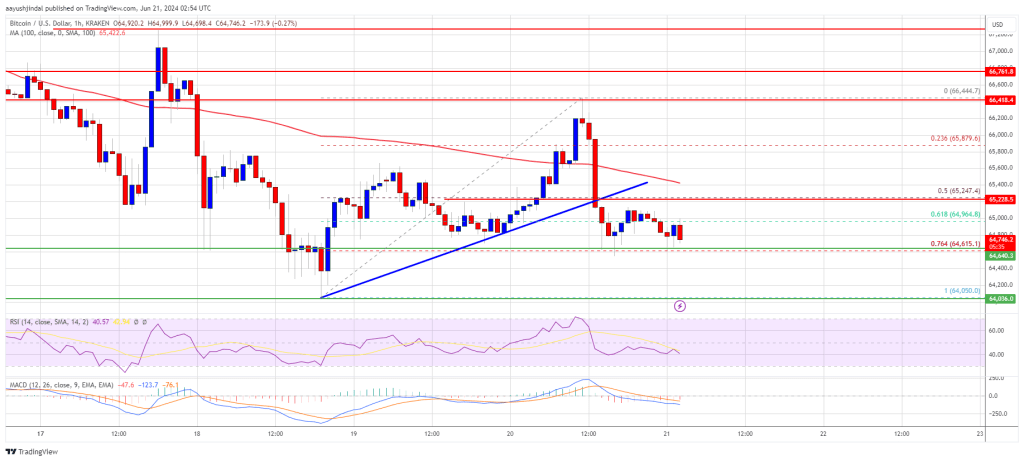 Bitcoin Price Dips Again: BTC Bears Tighten Grip