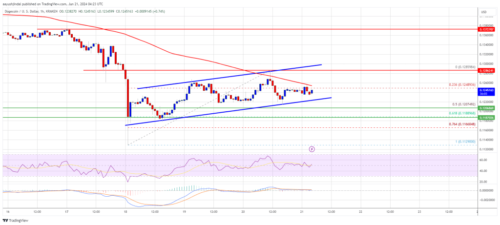 Dogecoin Bears Return: Indicators Point To More Losses In DOGE