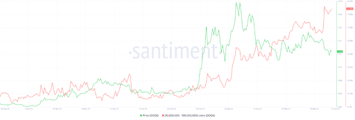 Dogecoin vê aumento monumental nas transações enquanto as baleias gastam US$ 129 milhões