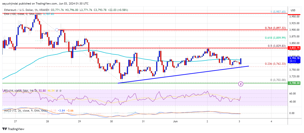 El precio de Ethereum se estabiliza: un fuerte soporte sugiere un emocionante potencial alcista