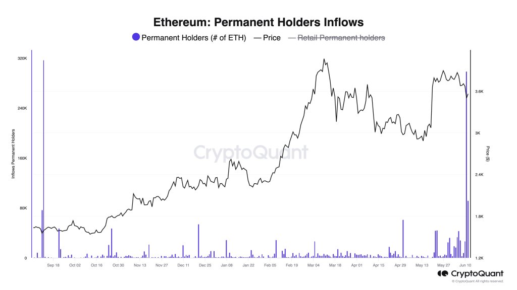 Ethereum HODLers conquistam 298.000 ETH em 24 horas antes da negociação de ETF à vista