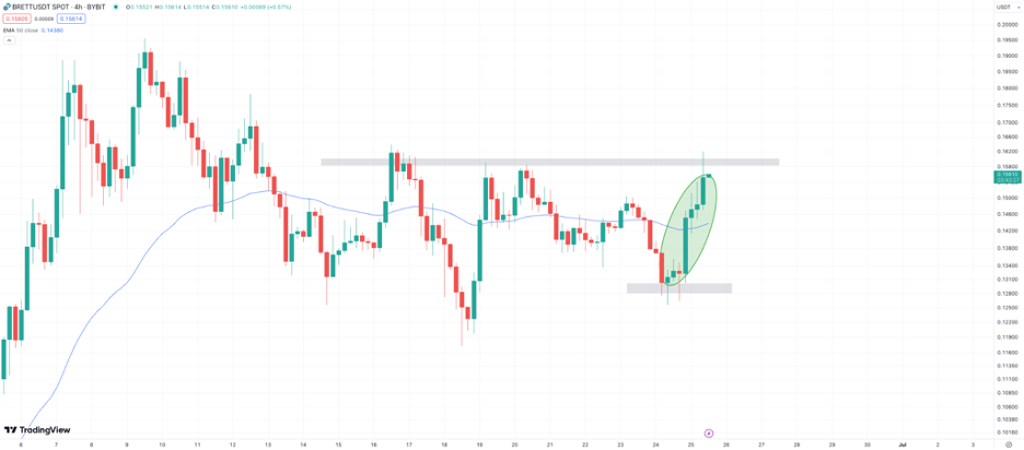 Brett Surges Almost 20% as New Base Chain Meme Coin DAWGZ Hits $2M in ICO