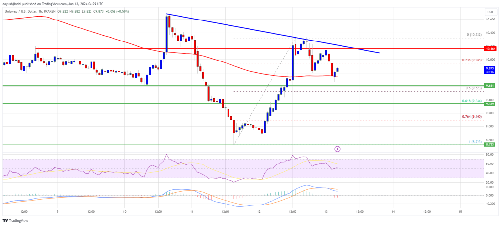 Uniswap Price on the Rise: UNI Eyes Set on Further Gains