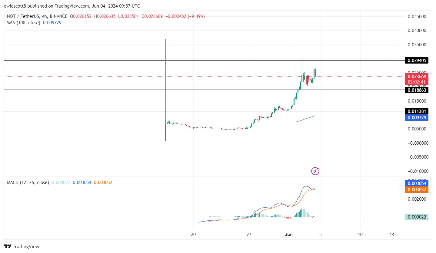 Notcoin (NOT) Maintains Bullish Momentum, What Next?