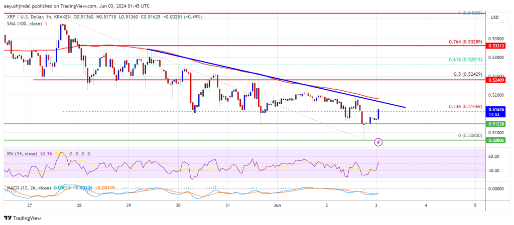 La lucha por el precio de XRP continúa: ¿encontrará soporte?