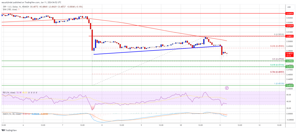 Crypto Alert: XRP Price at Risk of Significant Downturn