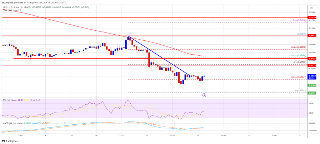 Rebote temporal del precio de XRP: la recuperación podría no durar