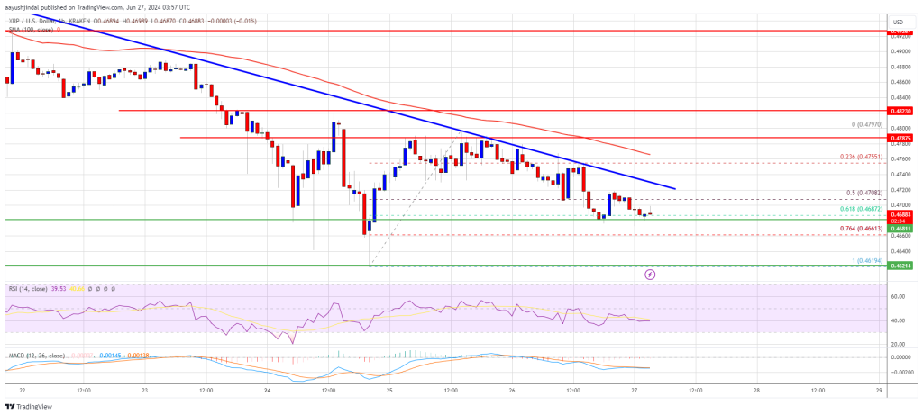 El precio de XRP vuelve a caer: ¿Qué está causando la caída continua?