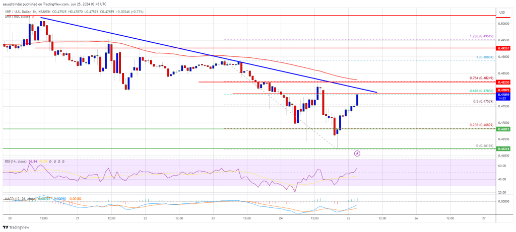 XRP Price Targets Strong Recovery: Key Indicators and Predictions