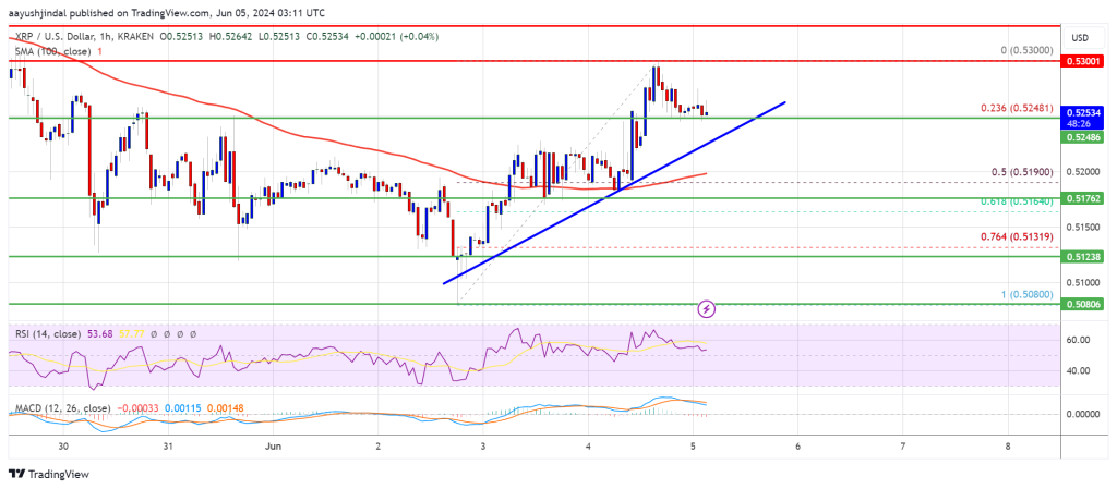 XRP価格は強気の急騰を目指す：大きな動きは地平線上にあるのか？