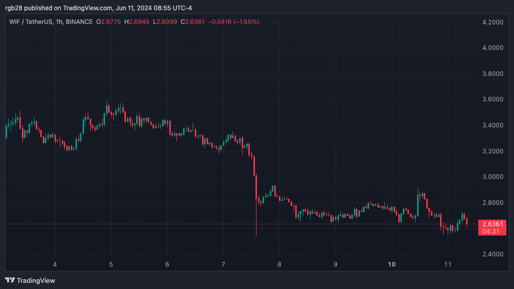 Dogwif¿qué caer? Analista fija objetivo de 1 dólar para WIF