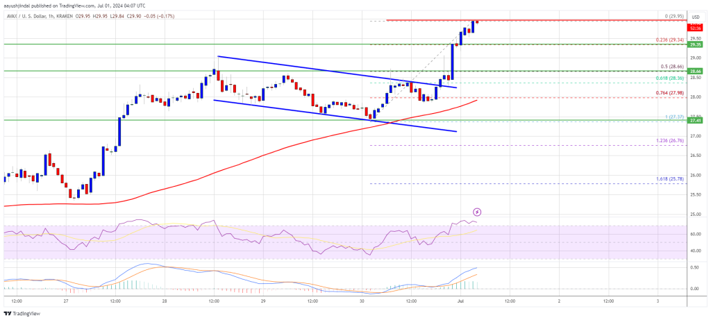 Avalanche (AVAX) Price Rallies: Can It Break Through the $30 Barrier?