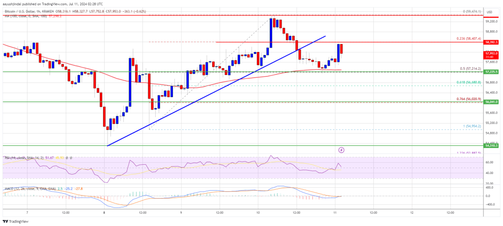 El precio de Bitcoin se ve afectado por el rechazo: ¿tropezarán los toros una vez más?